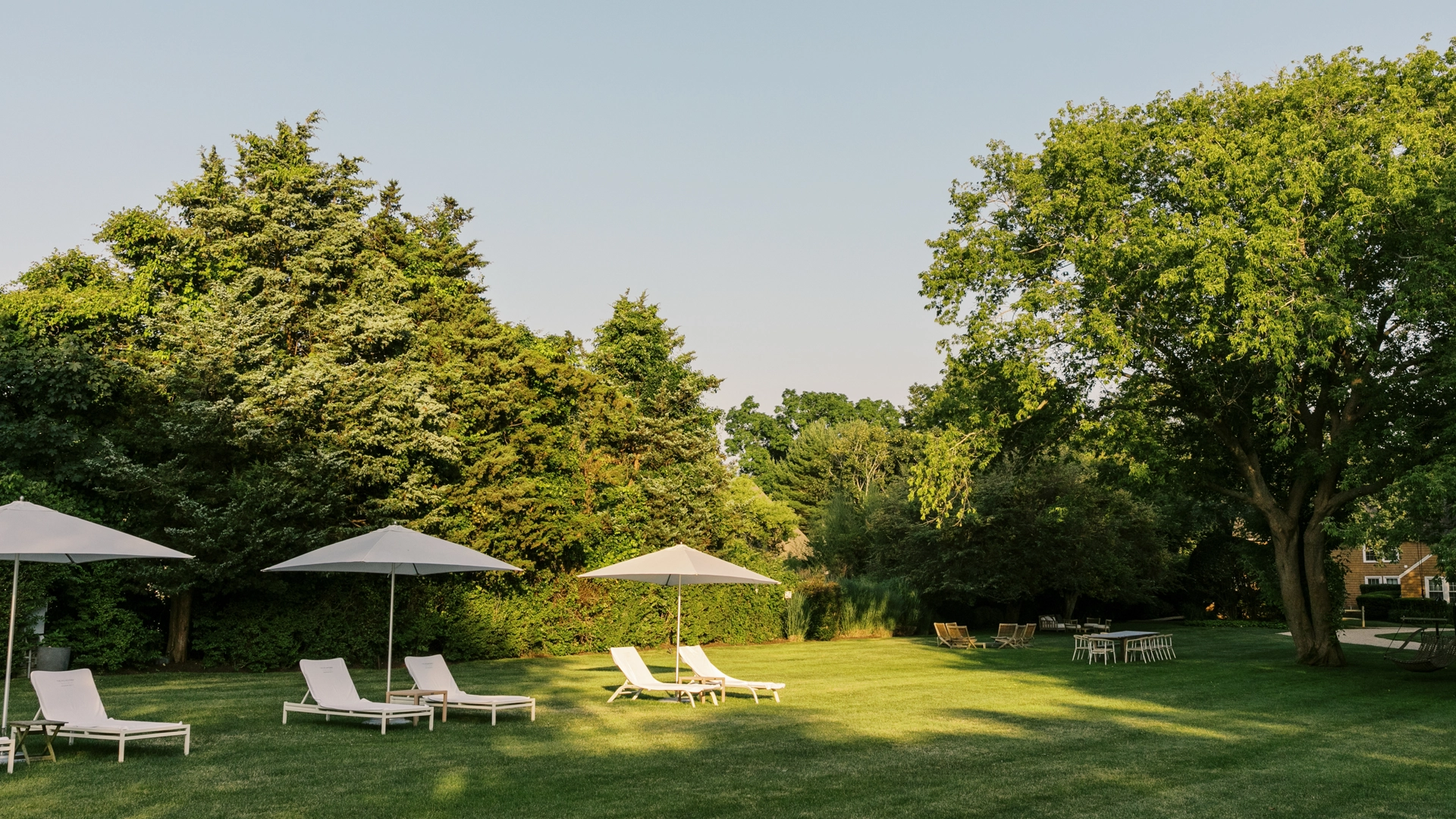 Back lawn with lounge chairs 